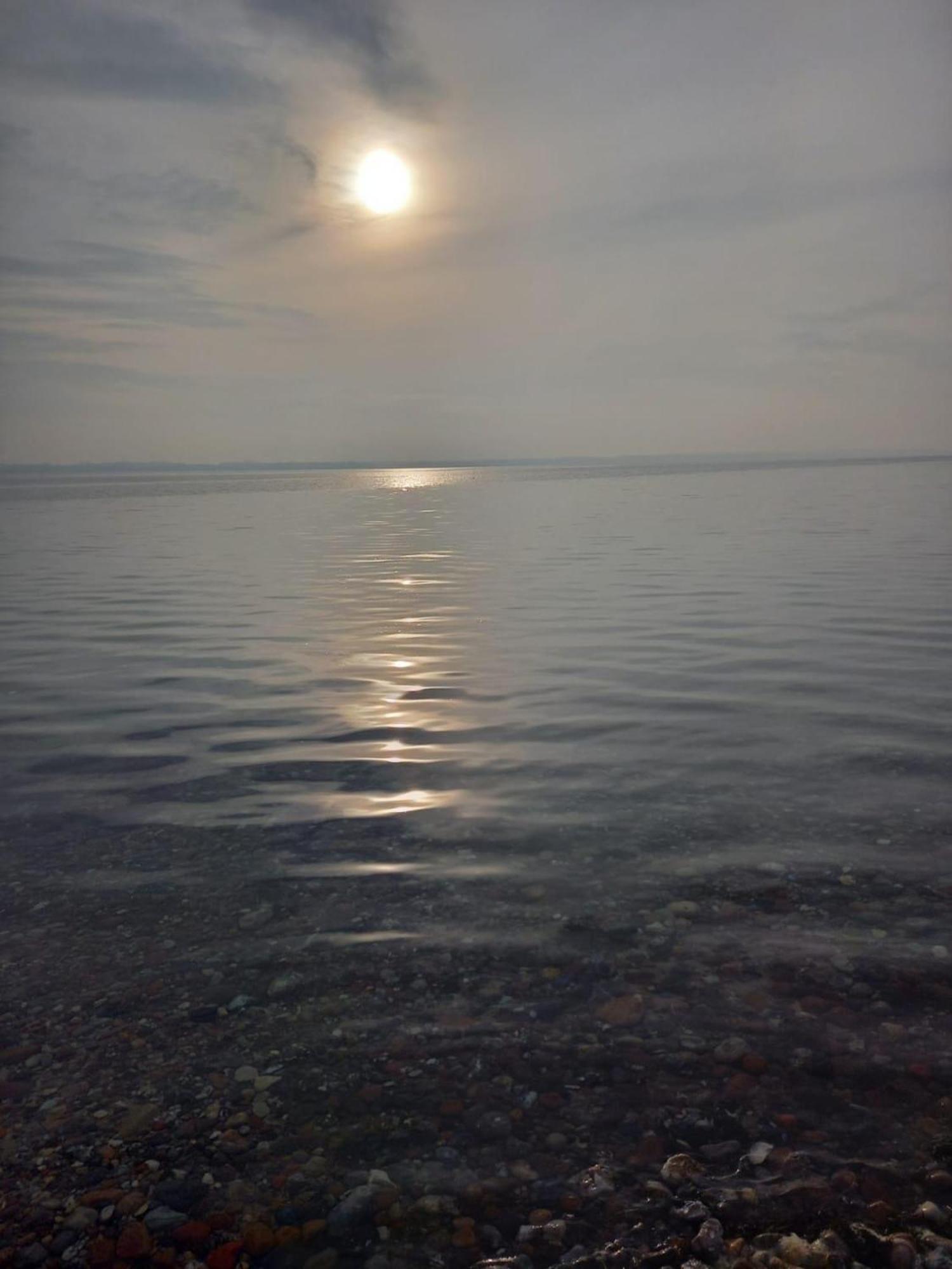Martens Gross Wittensee Bagian luar foto