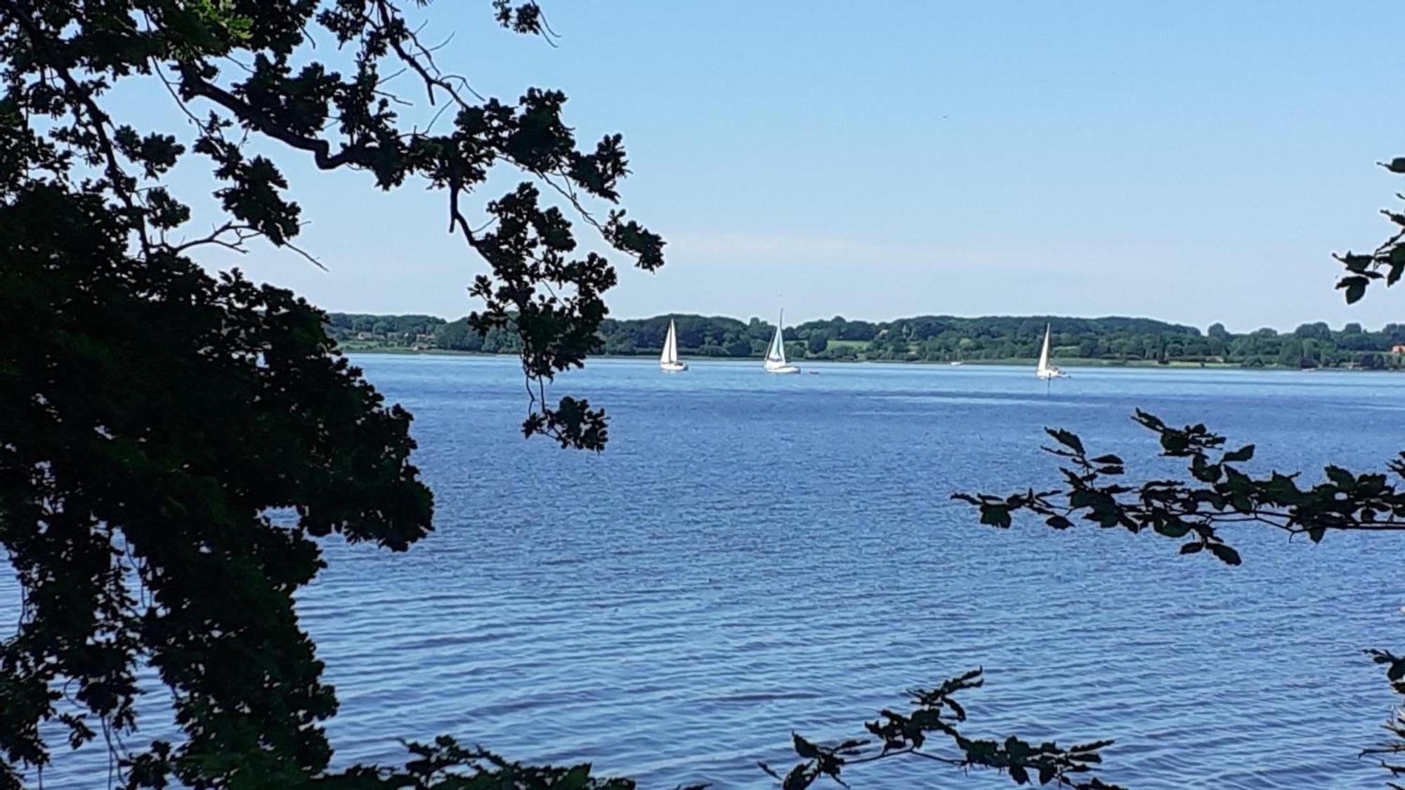 Martens Gross Wittensee Bagian luar foto